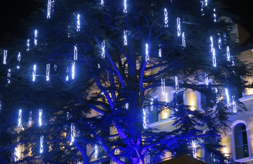Illuminations et décors de Noël - Hôtel Le Pelican